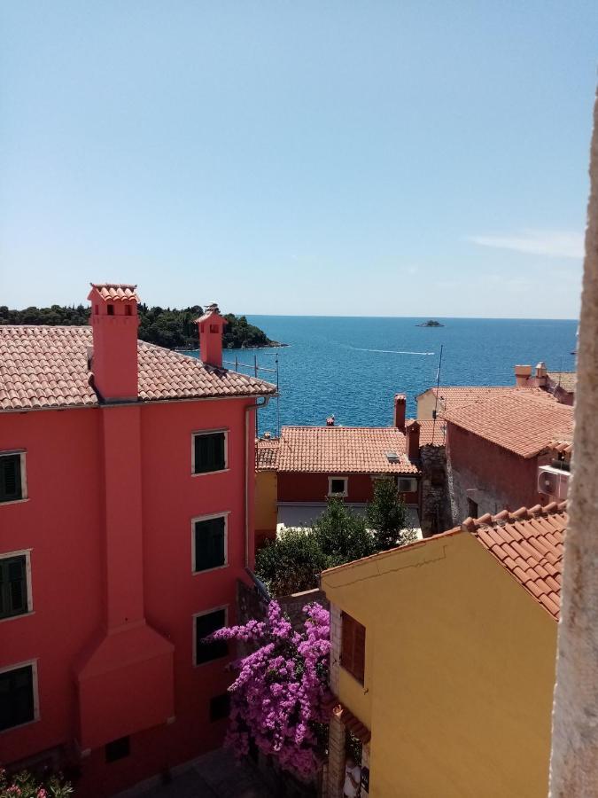 Casa Di Marko 105 M2 Garden Leilighet Rovinj Eksteriør bilde