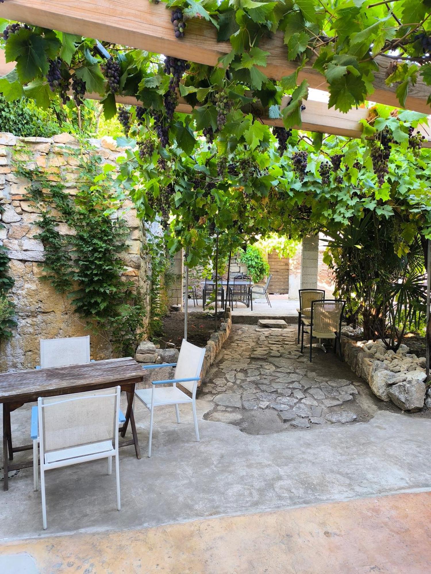 Casa Di Marko 105 M2 Garden Leilighet Rovinj Eksteriør bilde